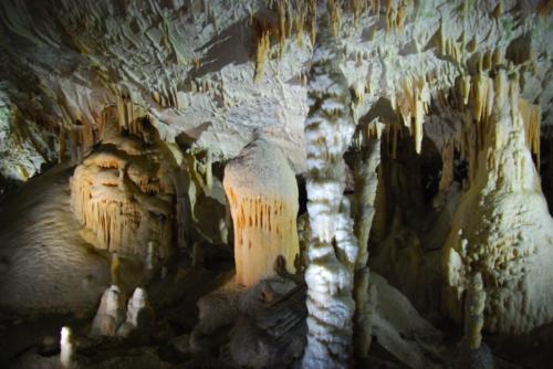 Jaskinia Postojna Cave (1)